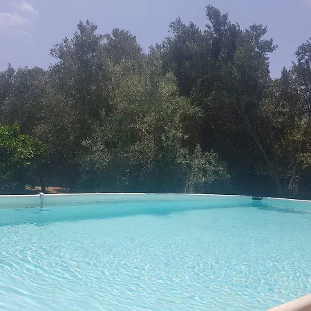 Bingemma Paradise