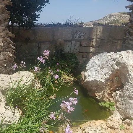 Bingemma Paradise Dwejra