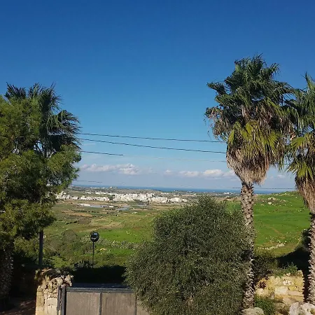 Bingemma Paradise *